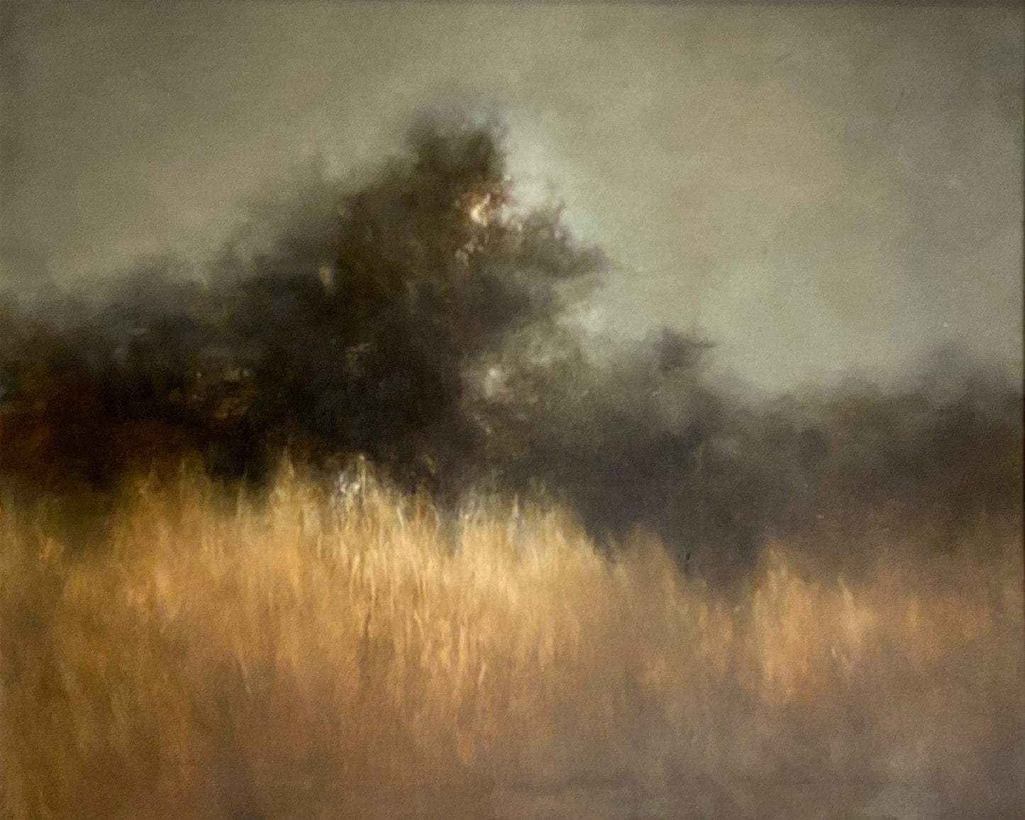 Shadowed River Landscape
