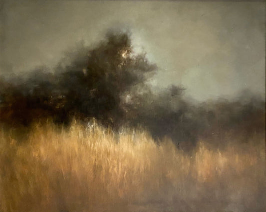 Shadowed River Landscape