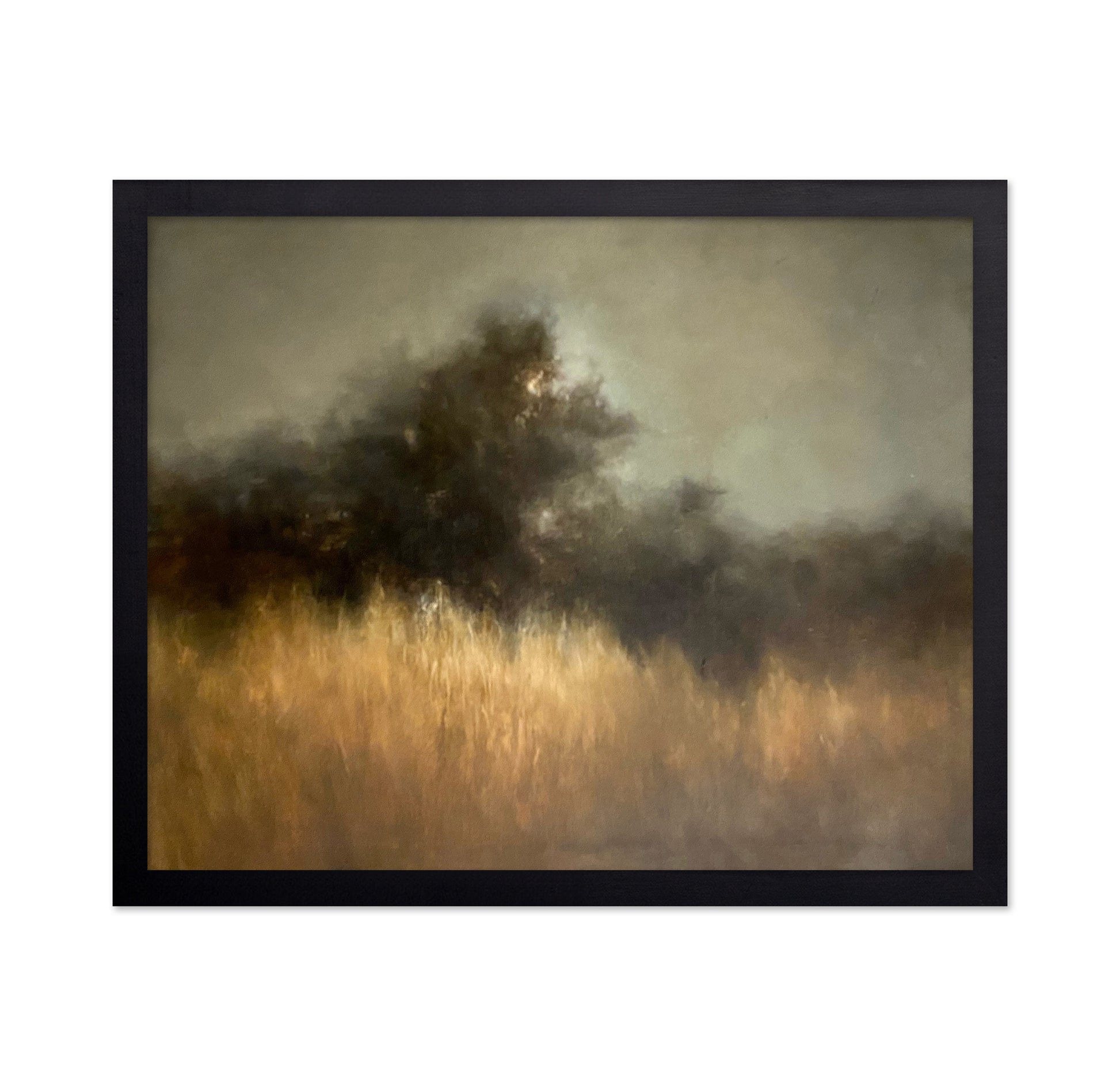 Shadowed River Landscape