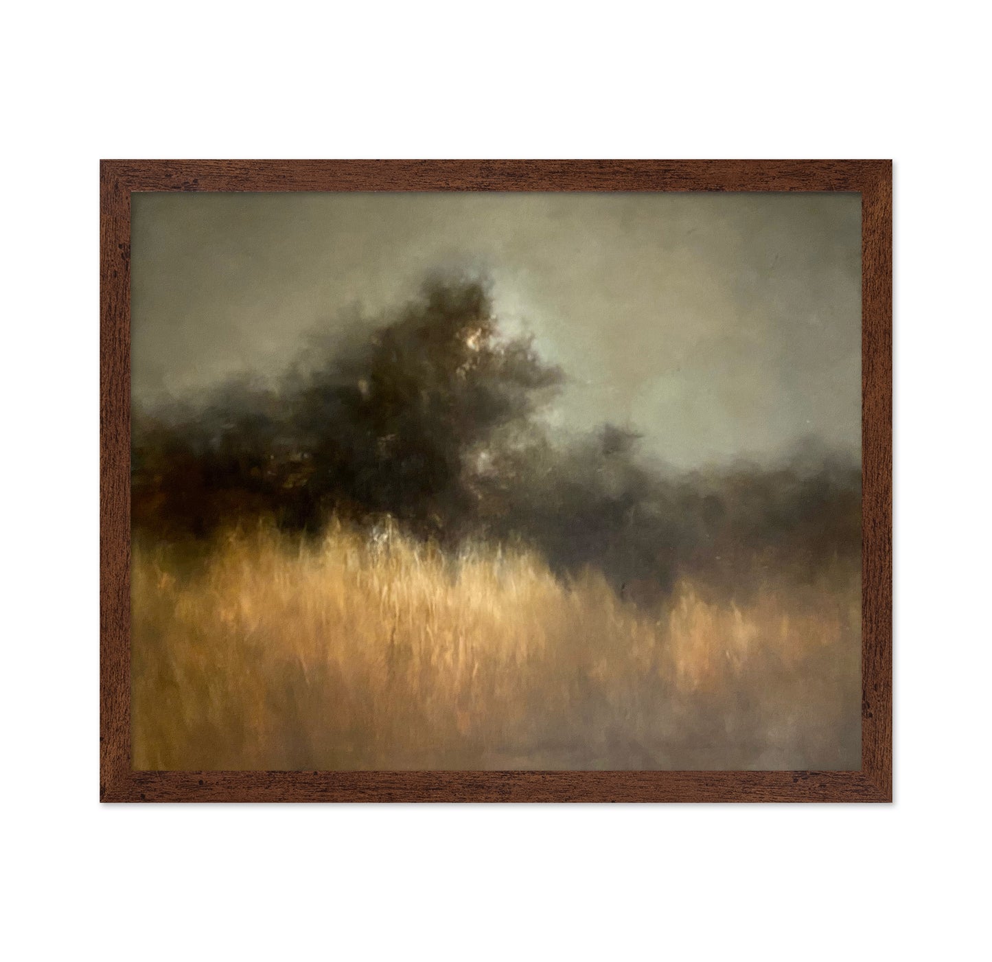 Shadowed River Landscape