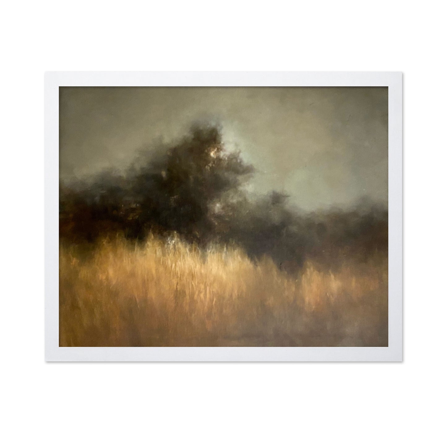 Shadowed River Landscape