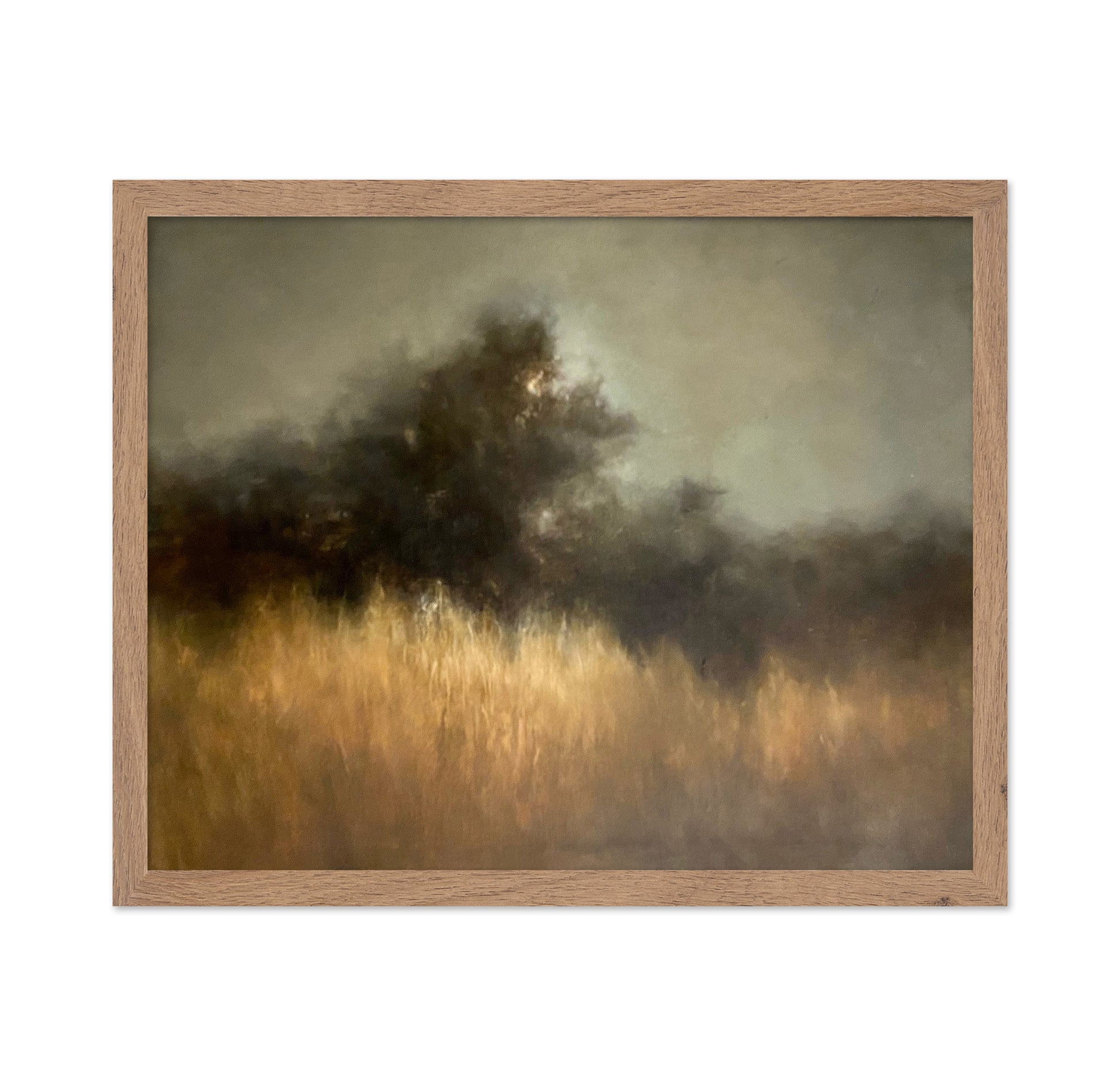 Shadowed River Landscape