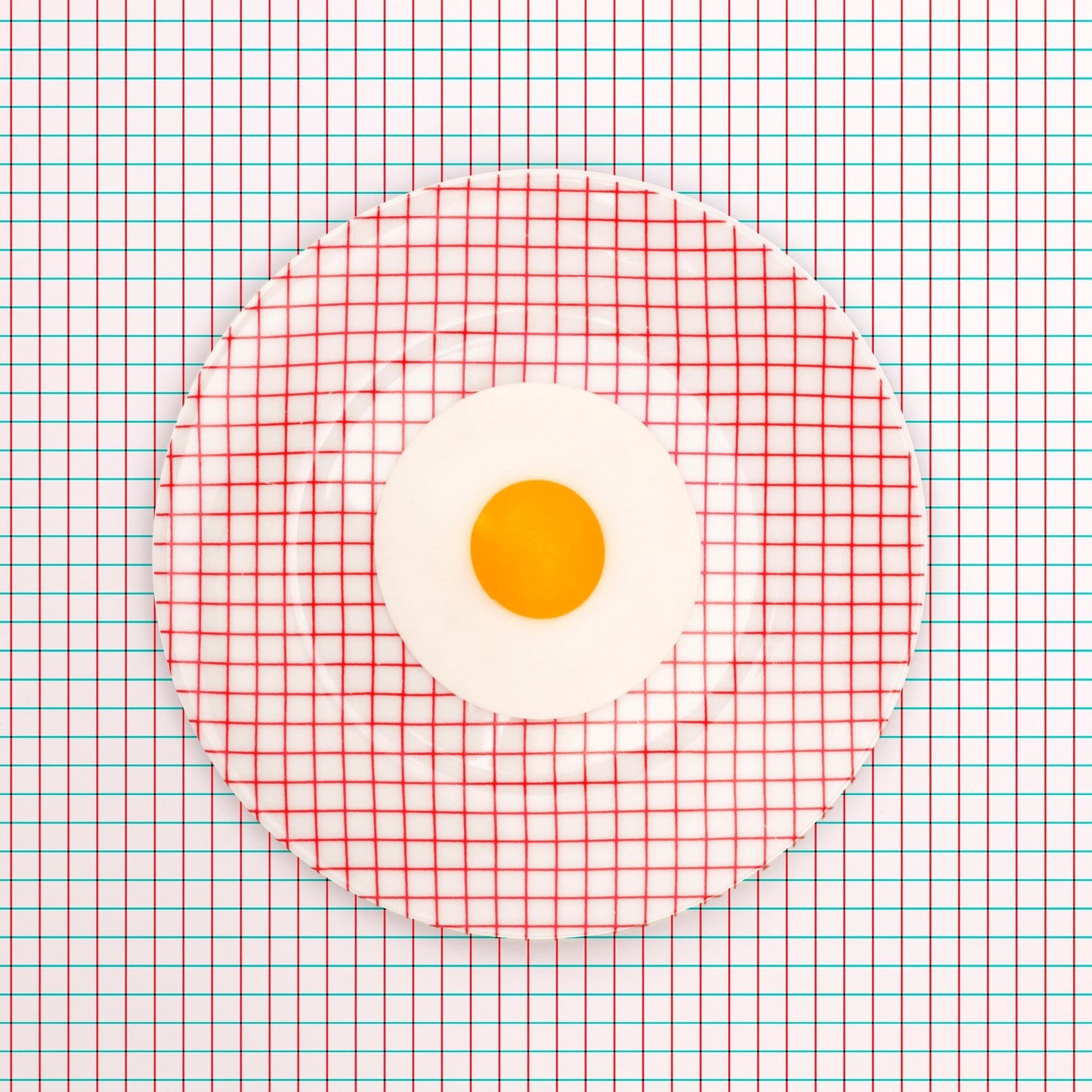 Grid Plate Illusion