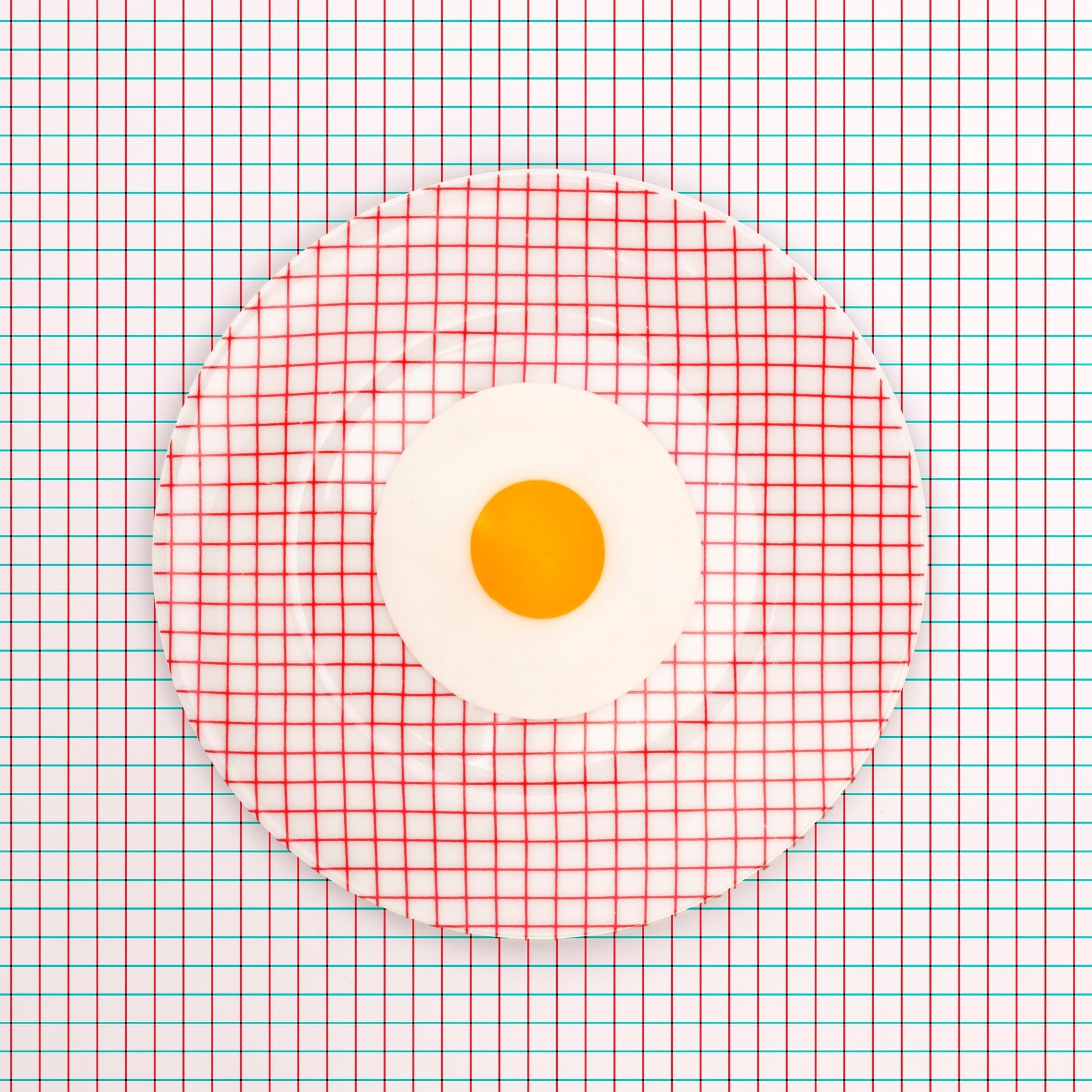 Grid Plate Illusion
