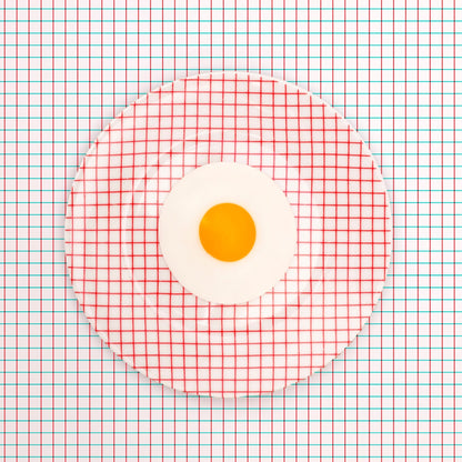 Grid Plate Illusion