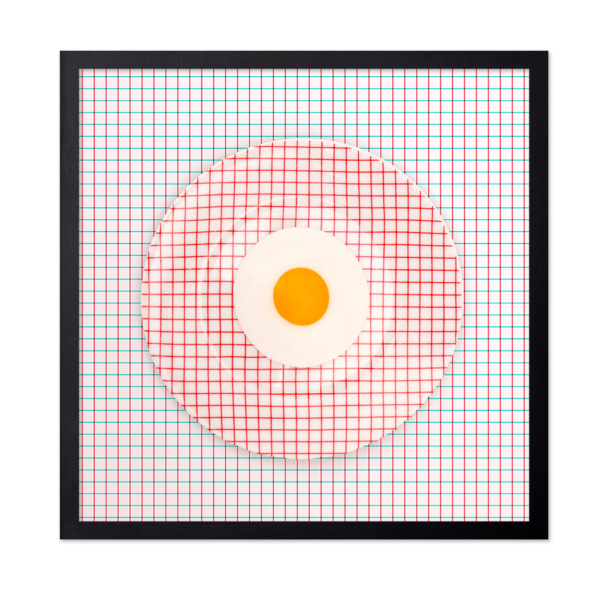 Grid Plate Illusion