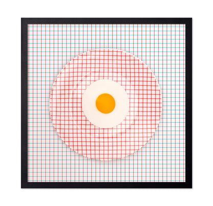 Grid Plate Illusion
