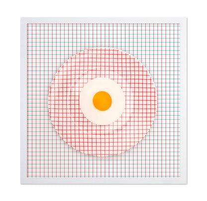 Grid Plate Illusion