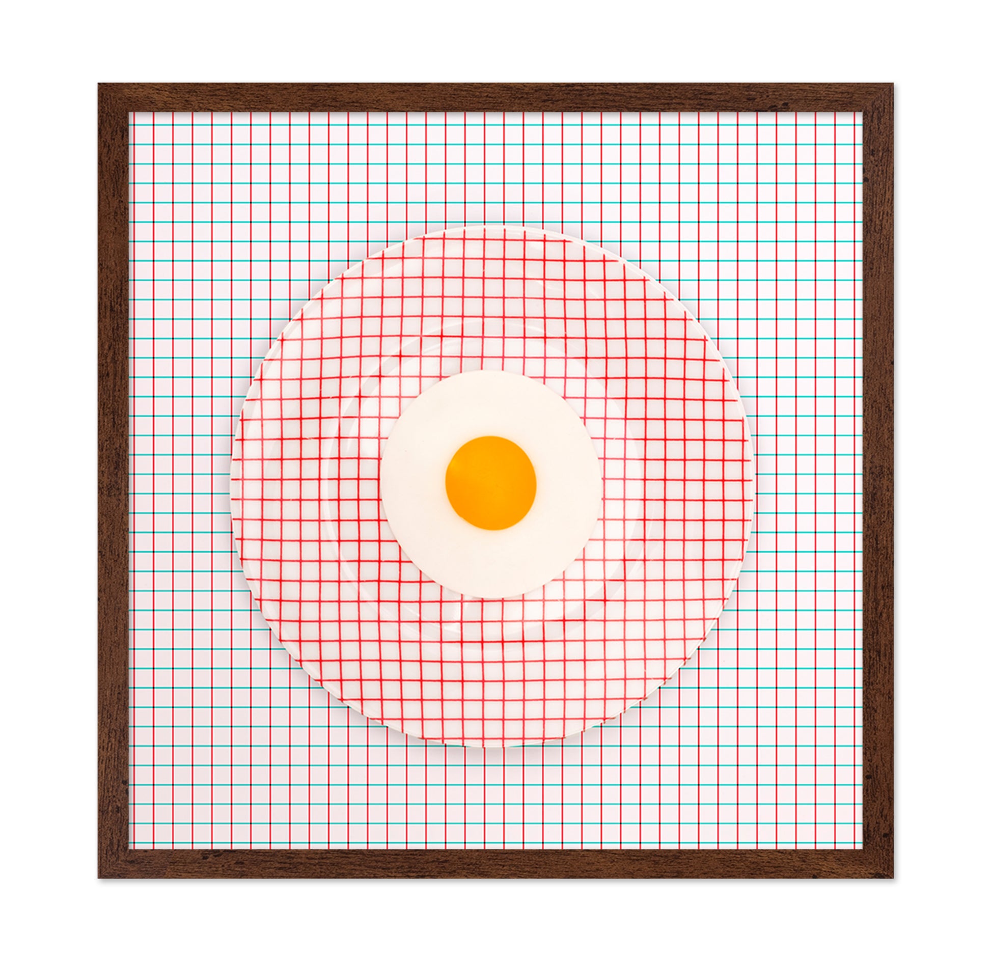 Grid Plate Illusion