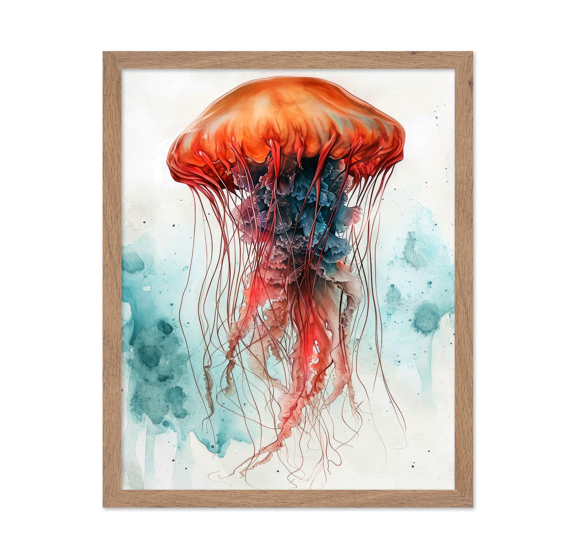 Medusa Sea Life