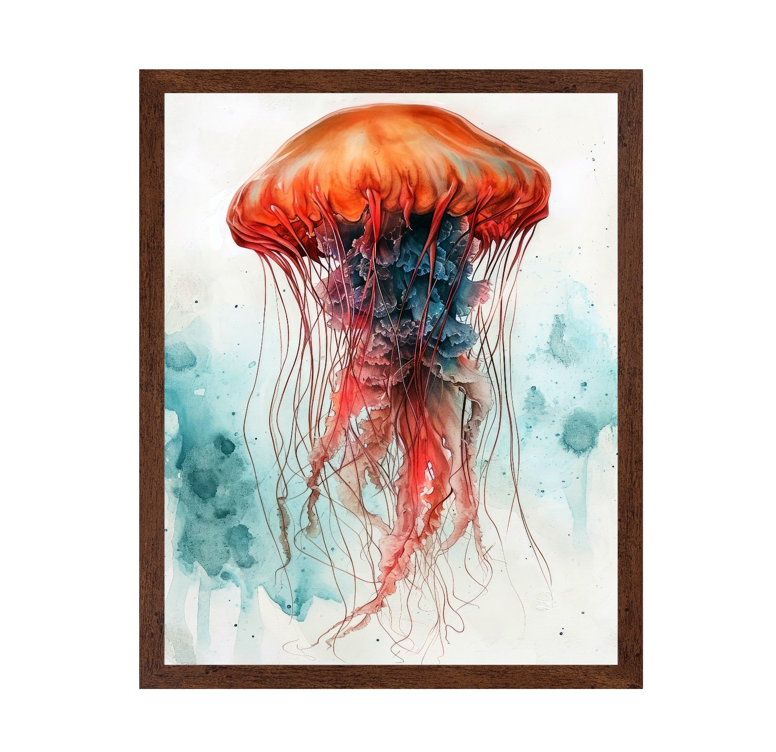 Medusa Sea Life