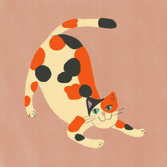 Playful Calico Cat