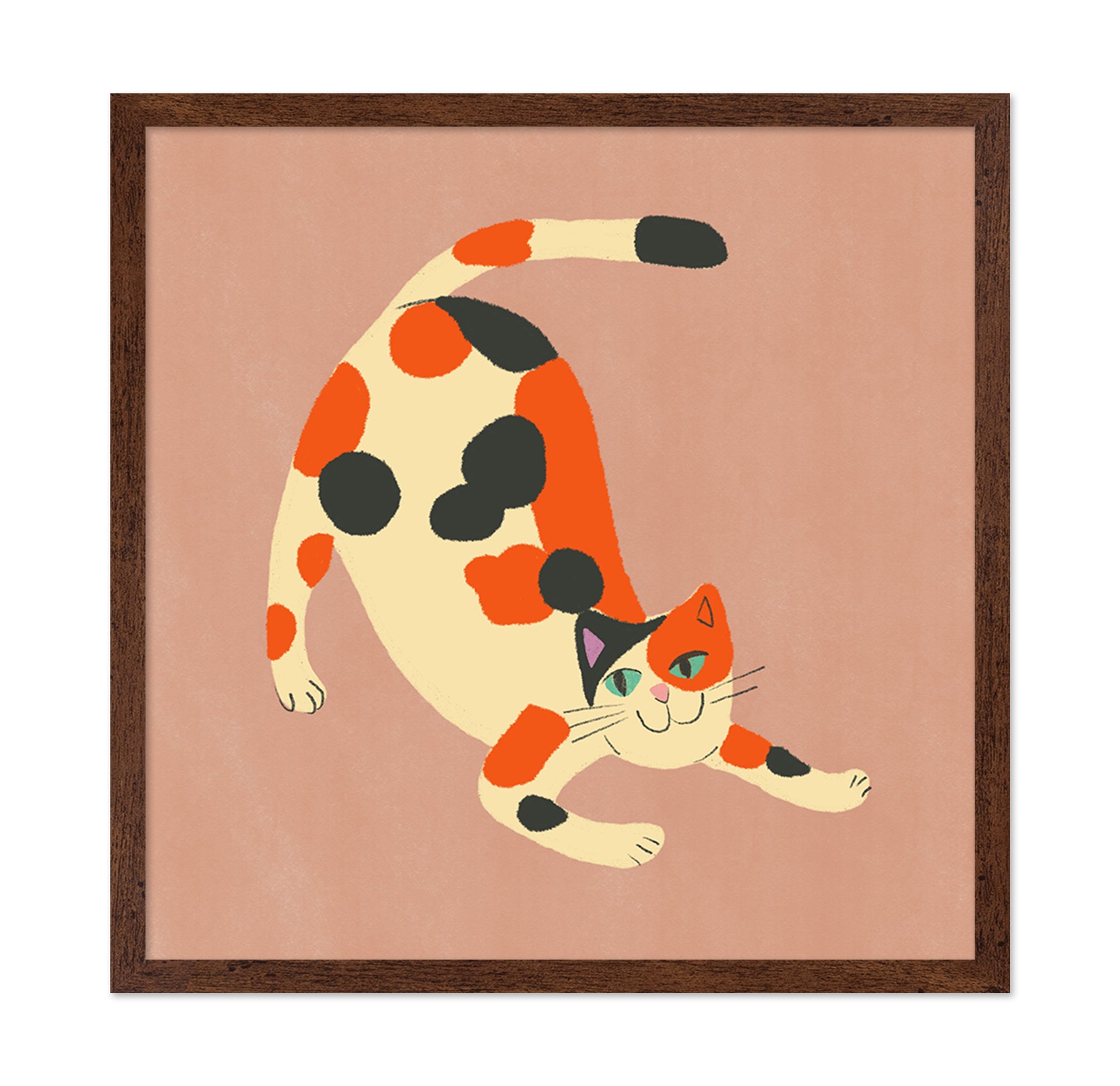 Playful Calico Cat
