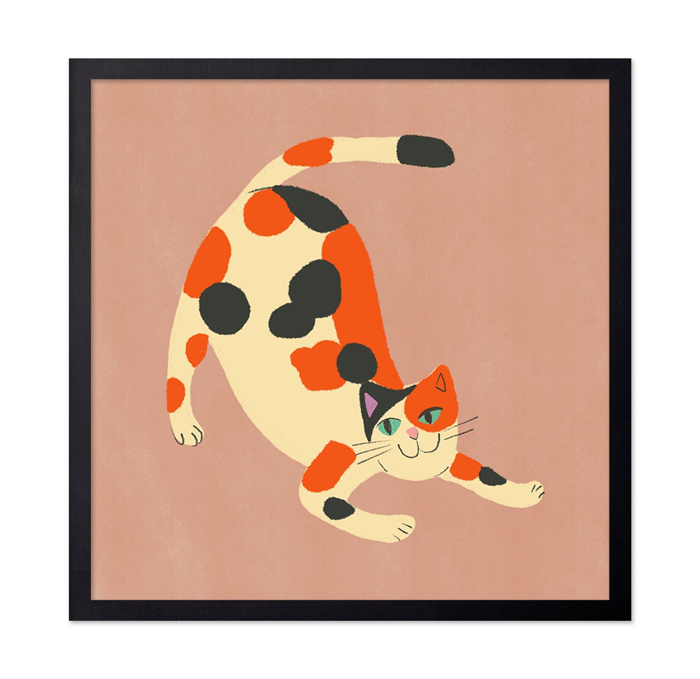 Playful Calico Cat