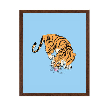 Tiger Drinking From A Water Puddle