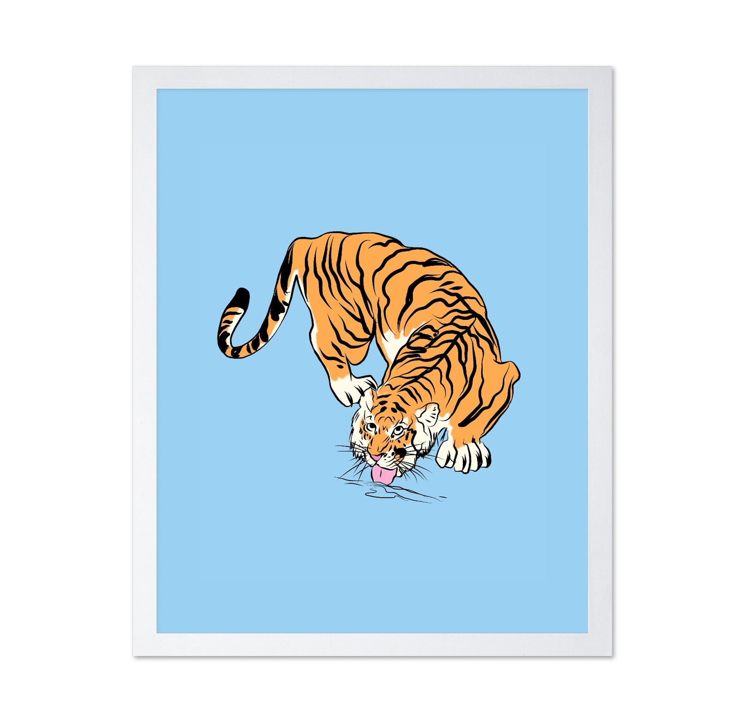 Tiger Drinking From A Water Puddle