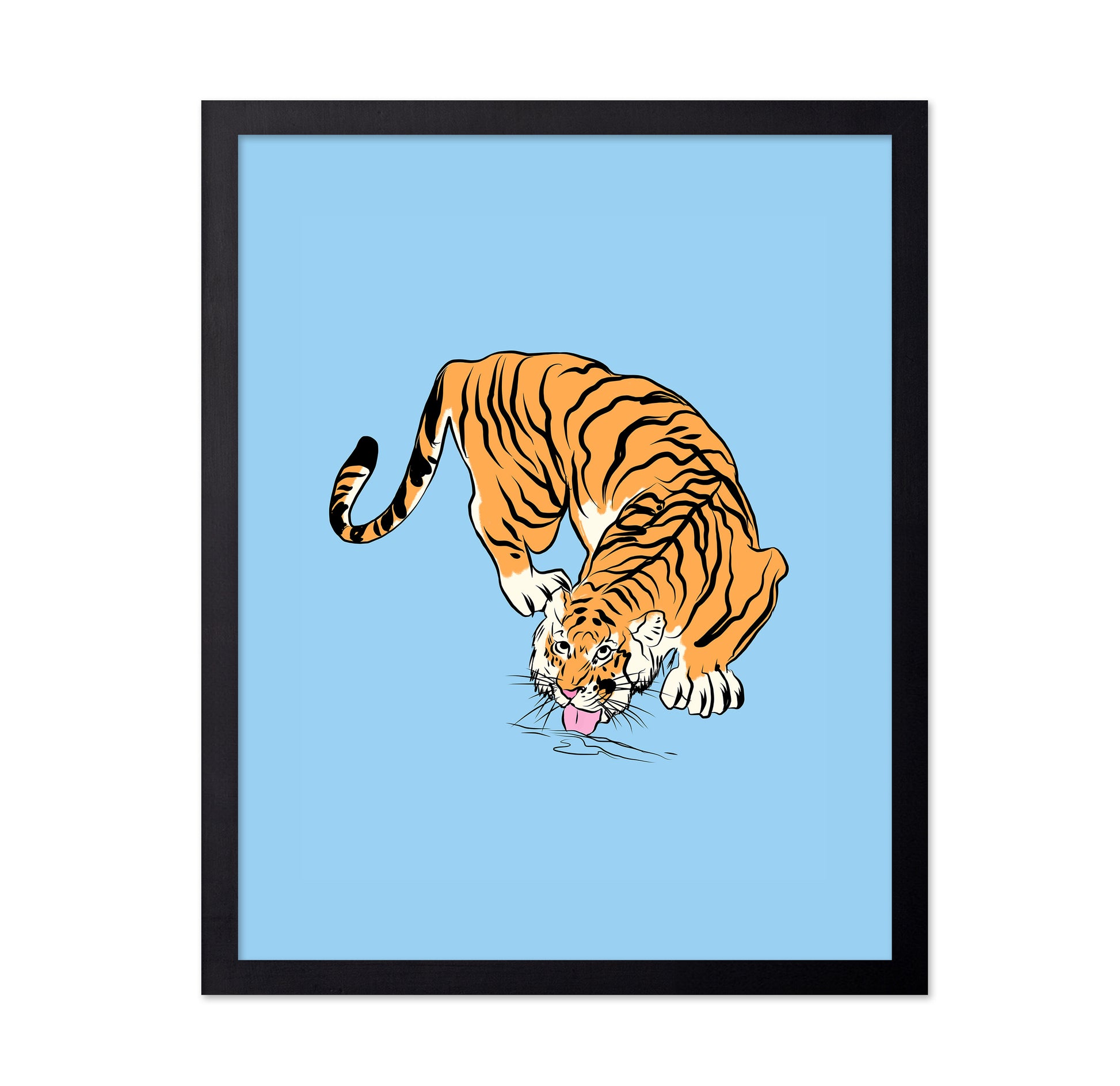 Tiger Drinking From A Water Puddle
