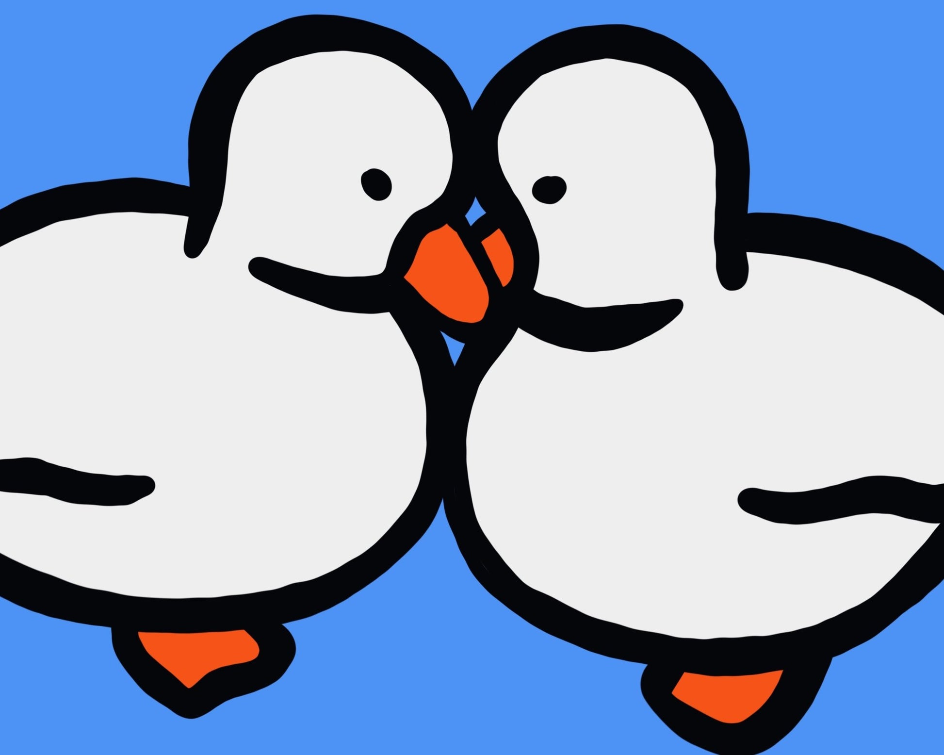 White Ducks With Orange Beaks