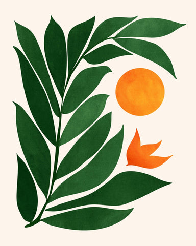 Tropical Forest Sunset