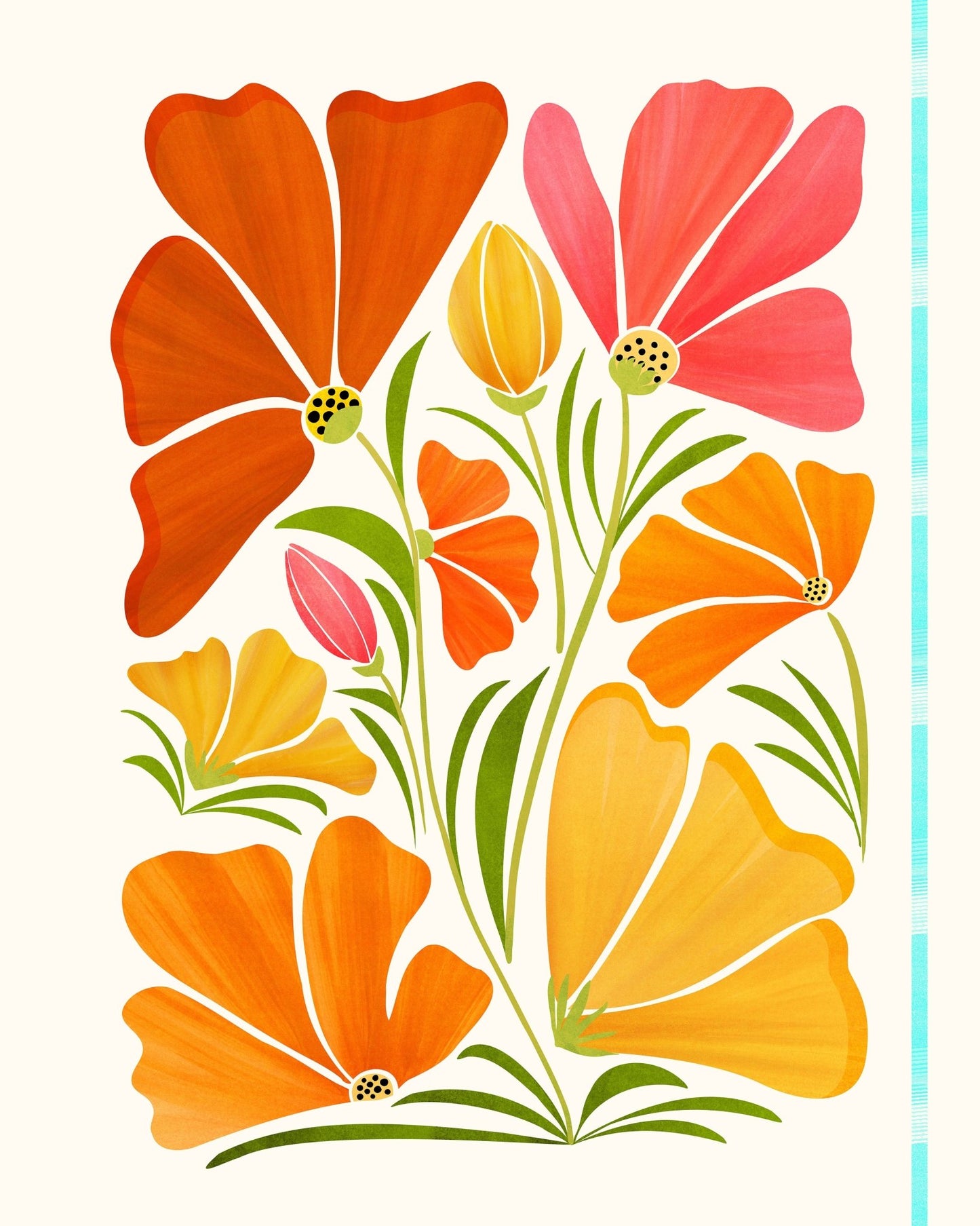 Spring Wildflowers