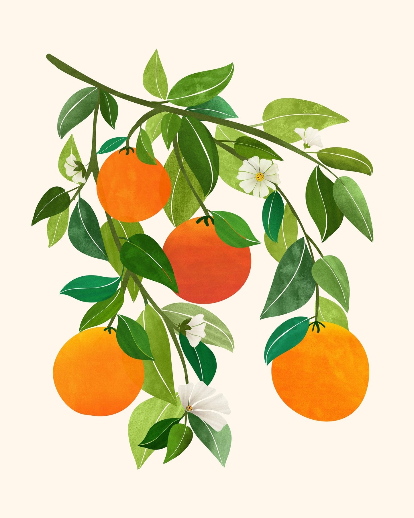 Oranges and Blossoms