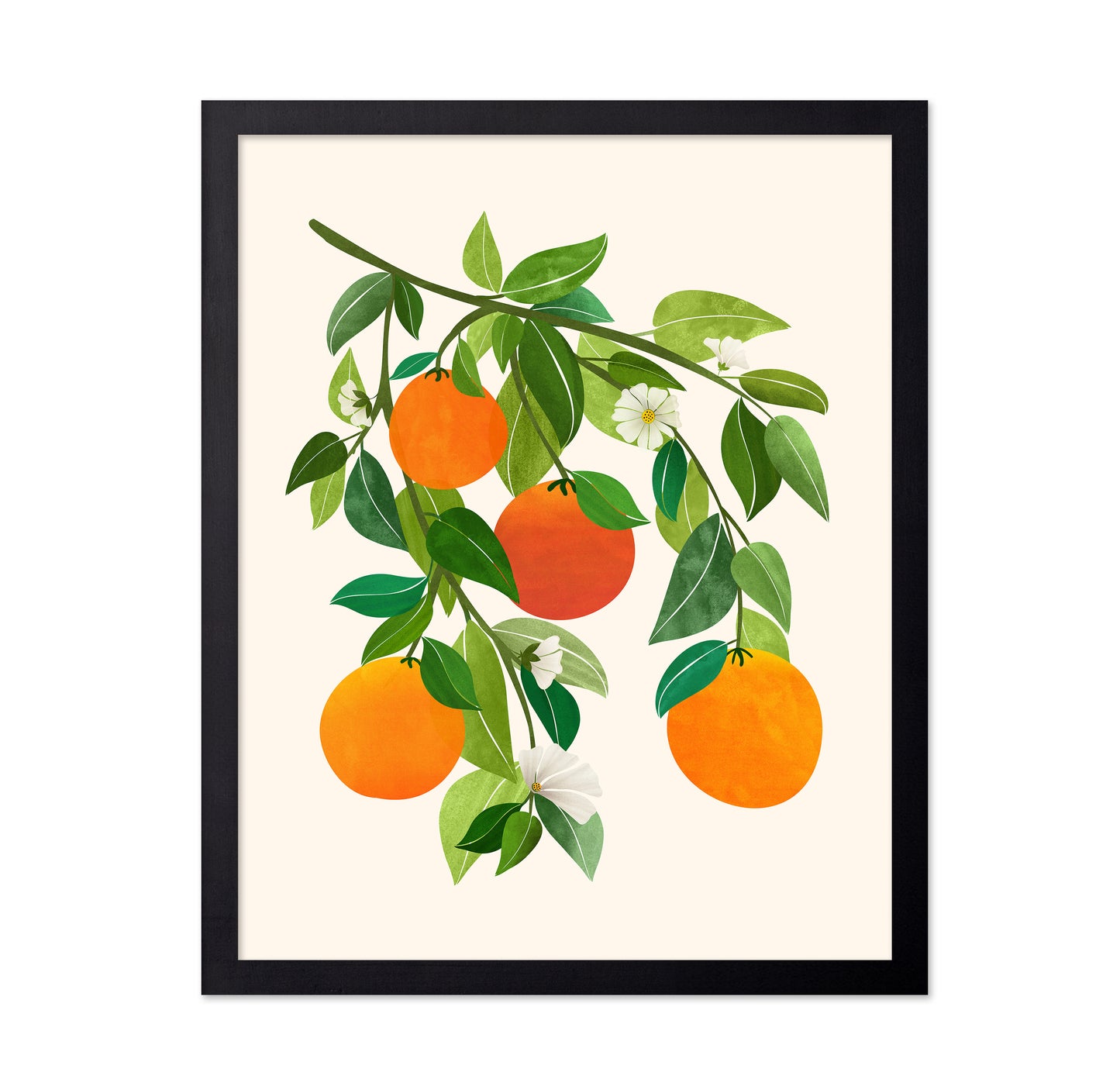 Oranges and Blossoms