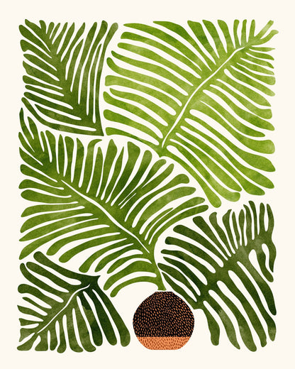 Summer Fern