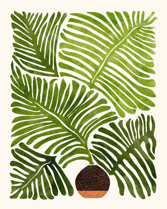 Summer Fern