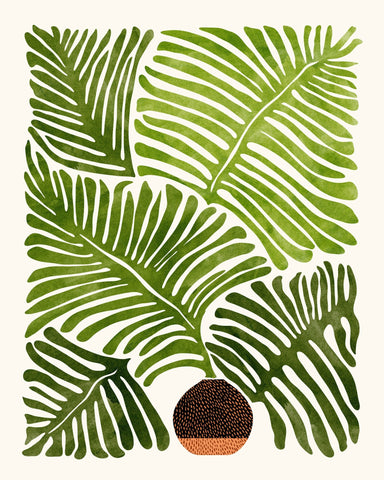 Summer Fern