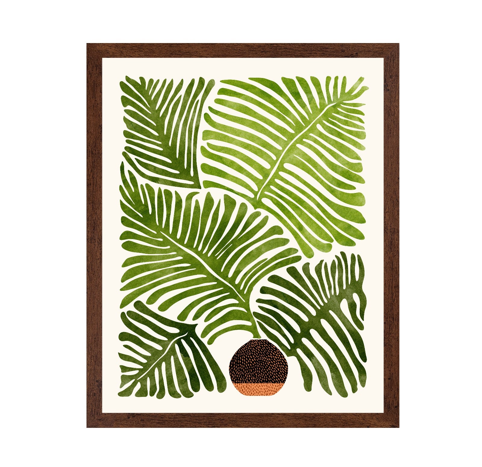 Summer Fern
