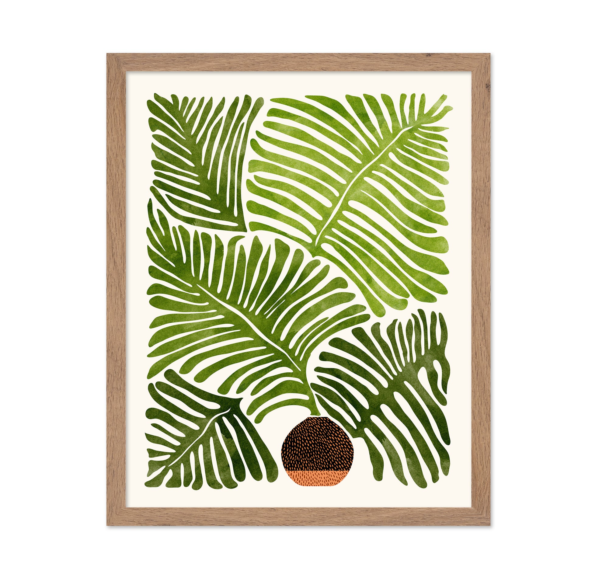 Summer Fern