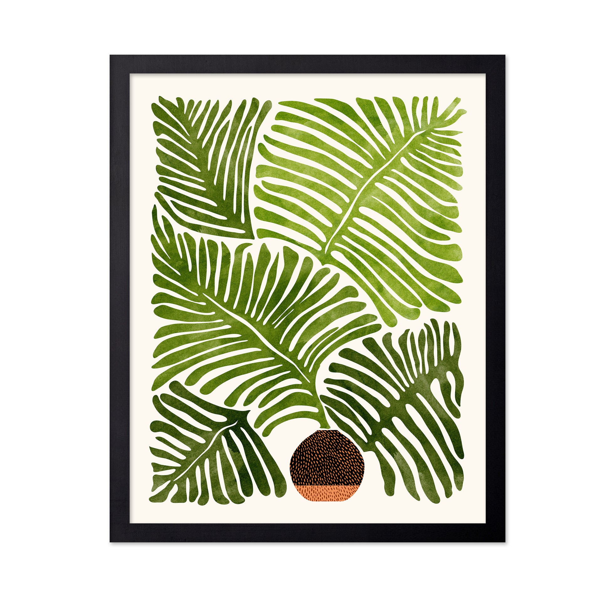 Summer Fern