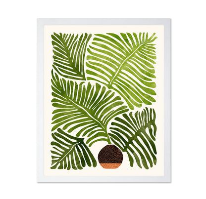 Summer Fern