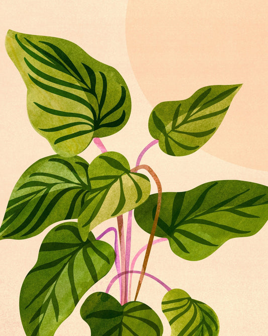 Thriving In The Sun
