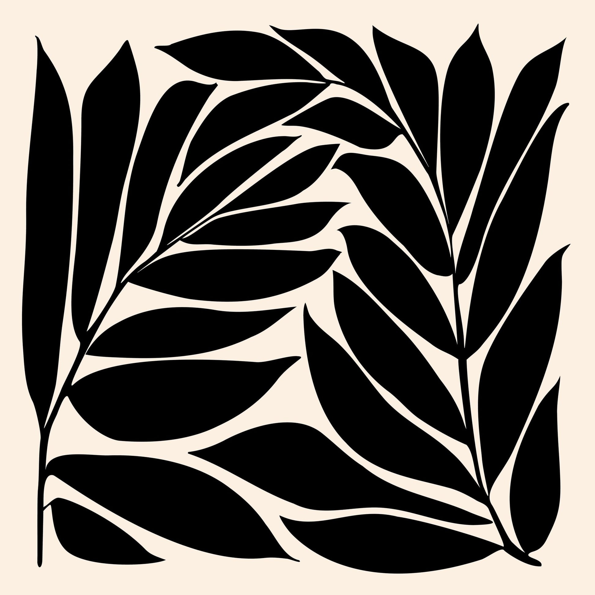 Black Seagrass