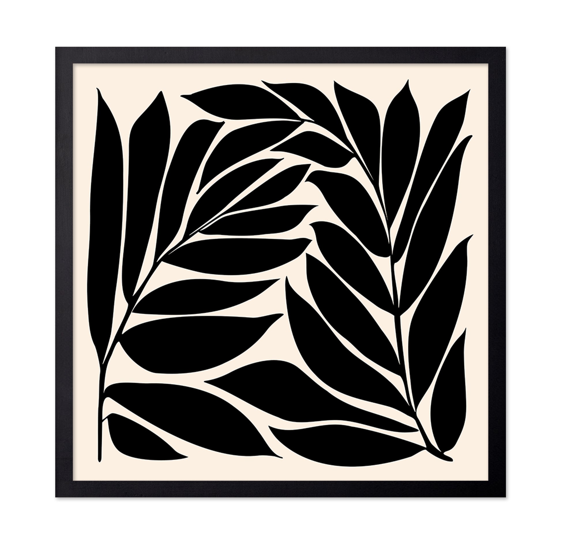 Black Seagrass
