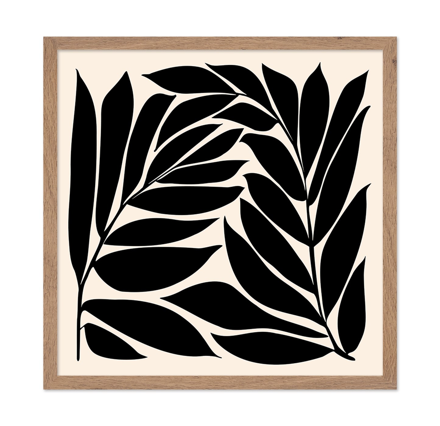 Black Seagrass