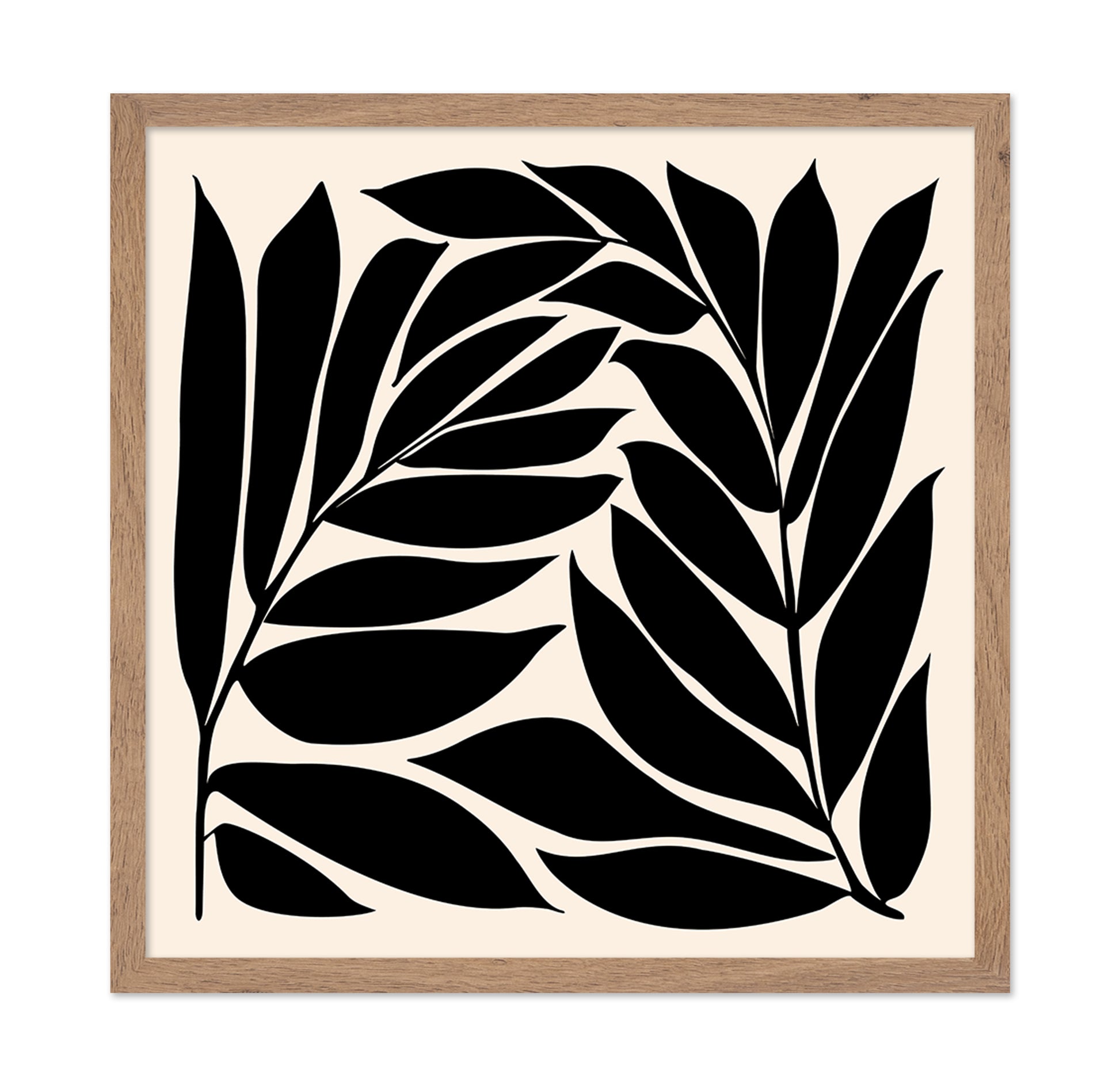 Black Seagrass