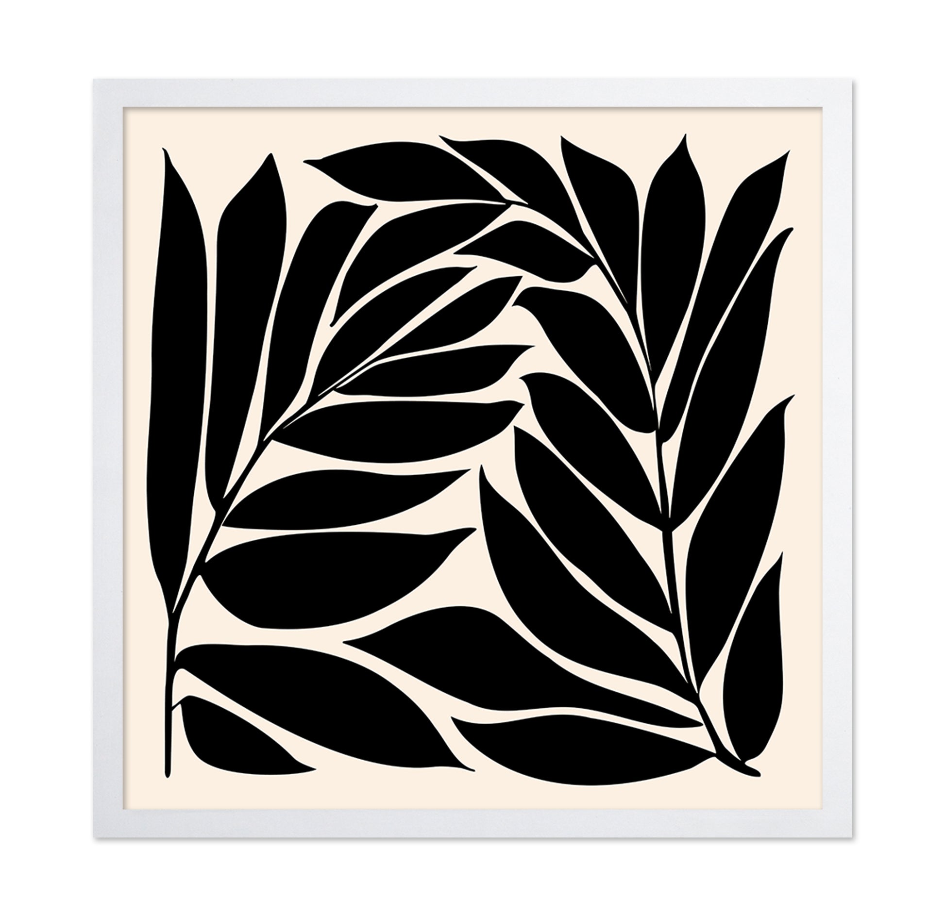 Black Seagrass
