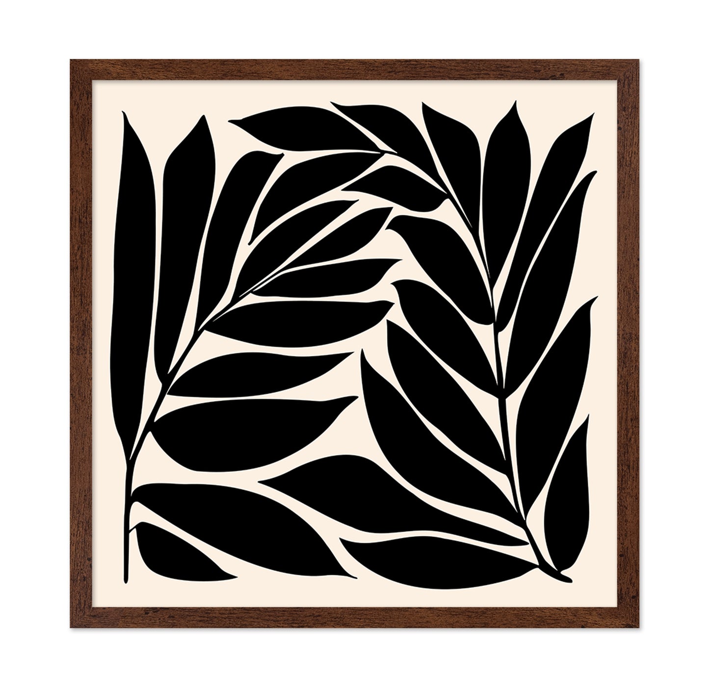 Black Seagrass