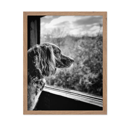 Dog looking through Train Window