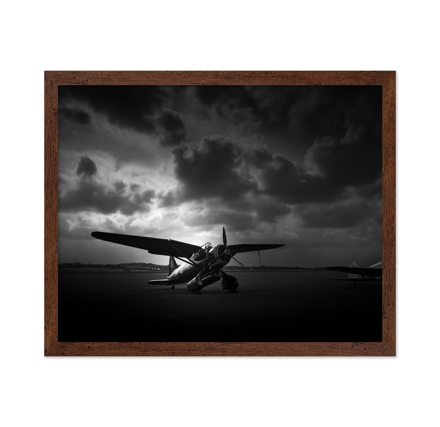 Night Shoot
