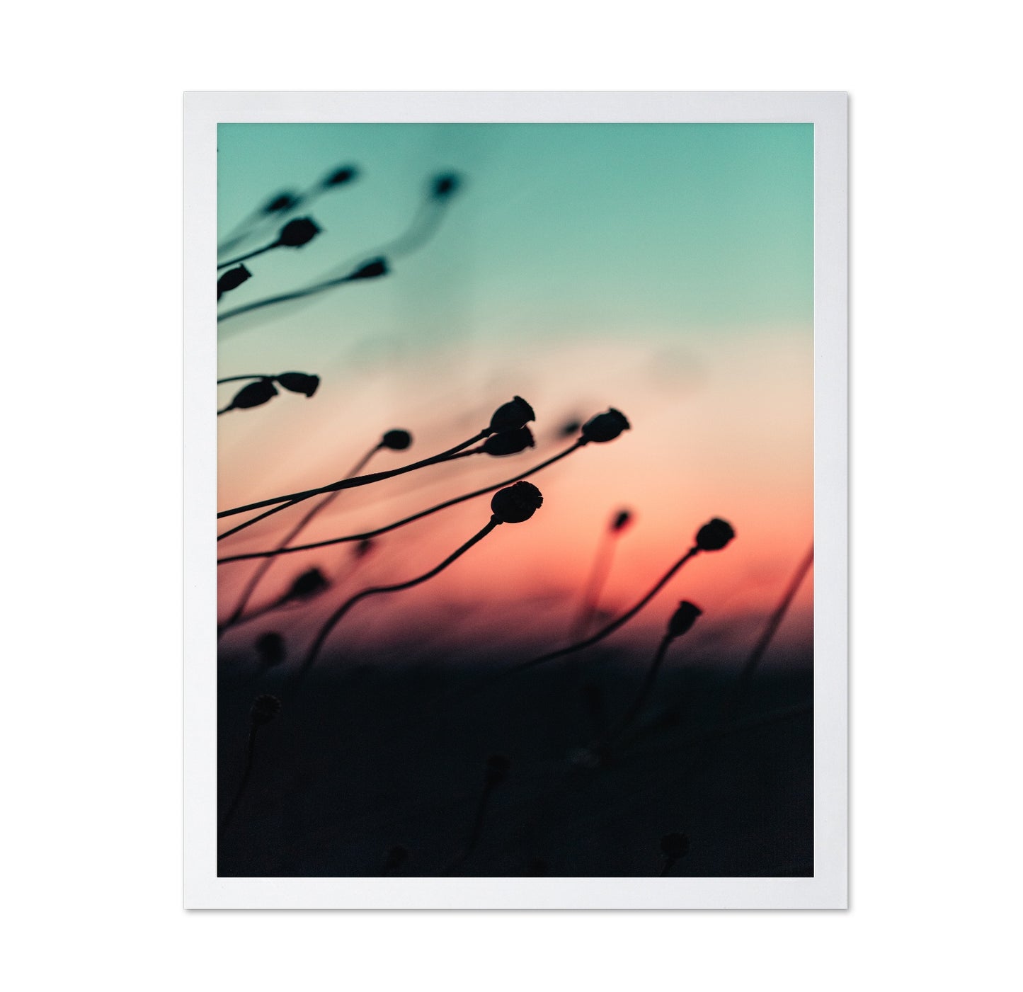 Silhouettes at Dusk
