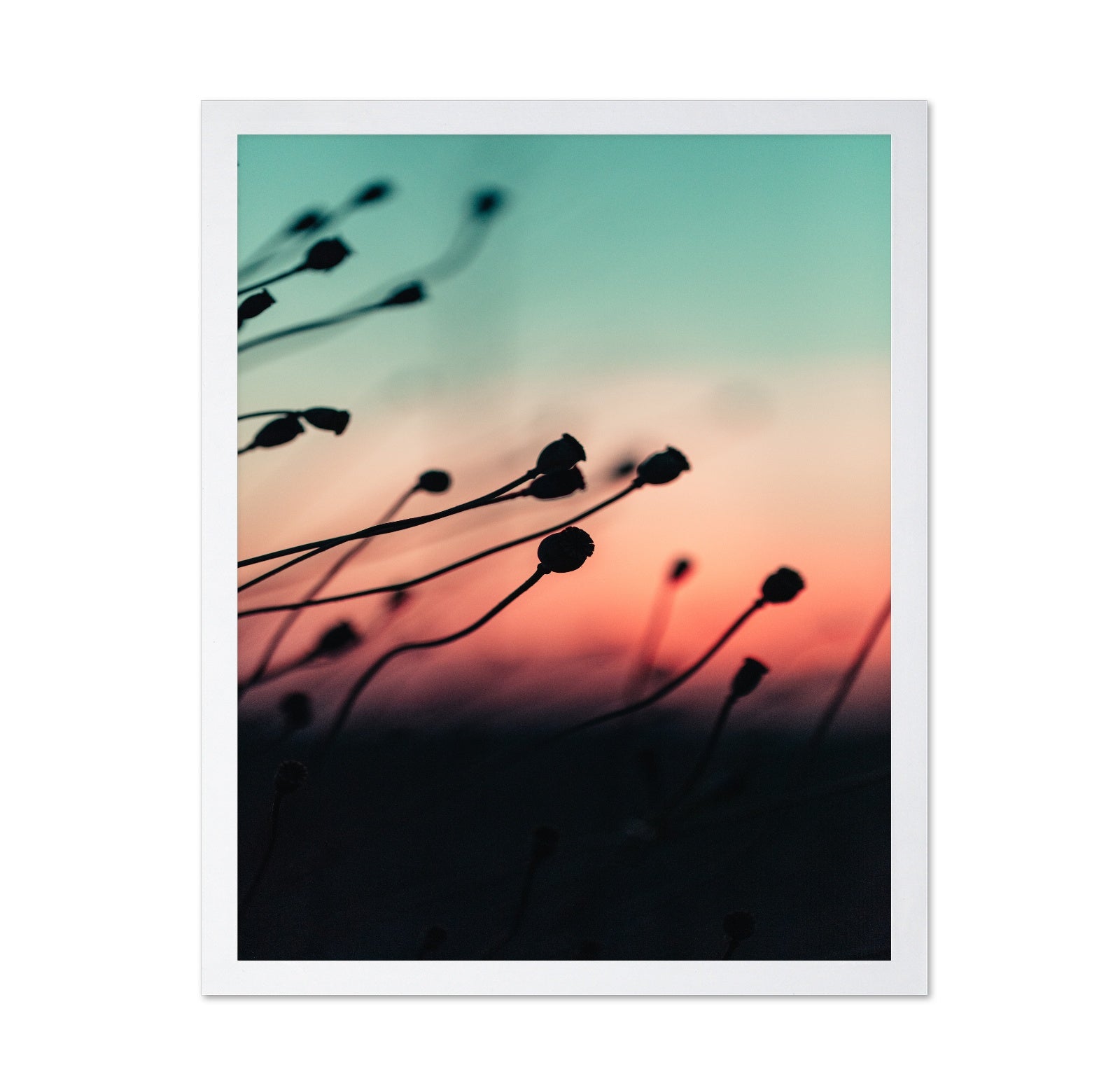 Silhouettes at Dusk