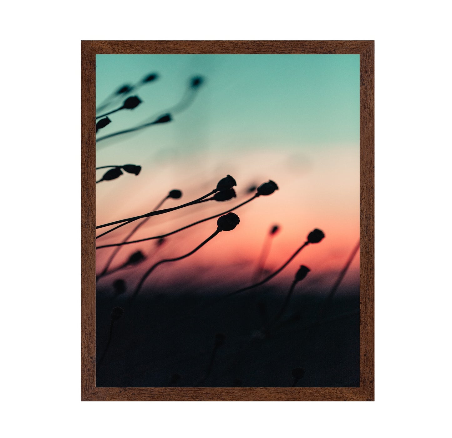 Silhouettes at Dusk