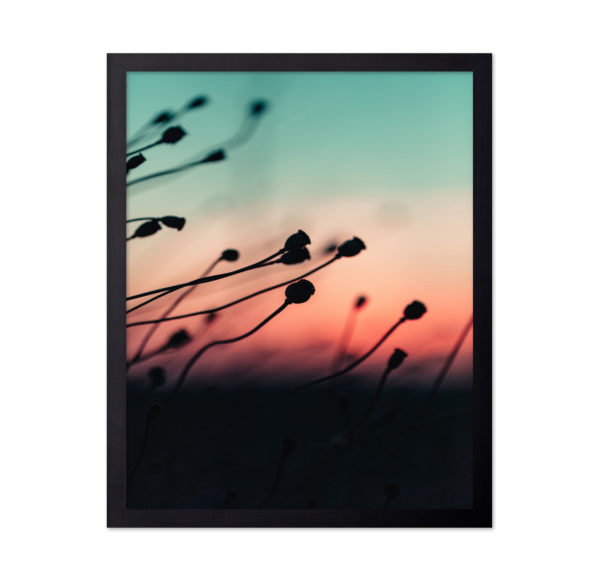 Silhouettes at Dusk