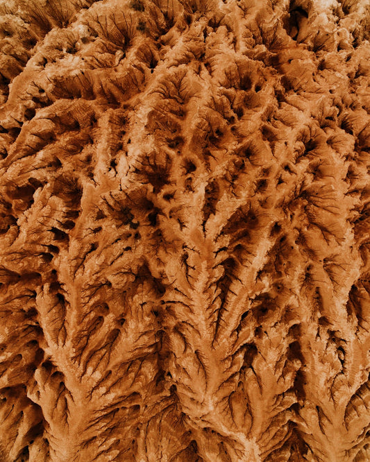 Earthly Textures