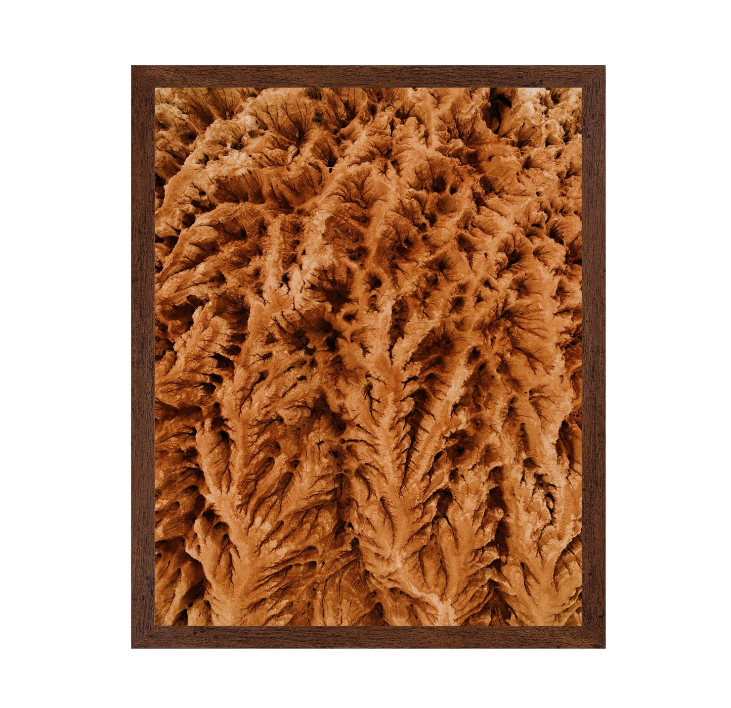 Earthly Textures