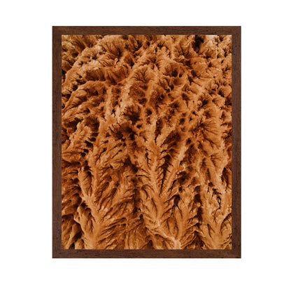Earthly Textures