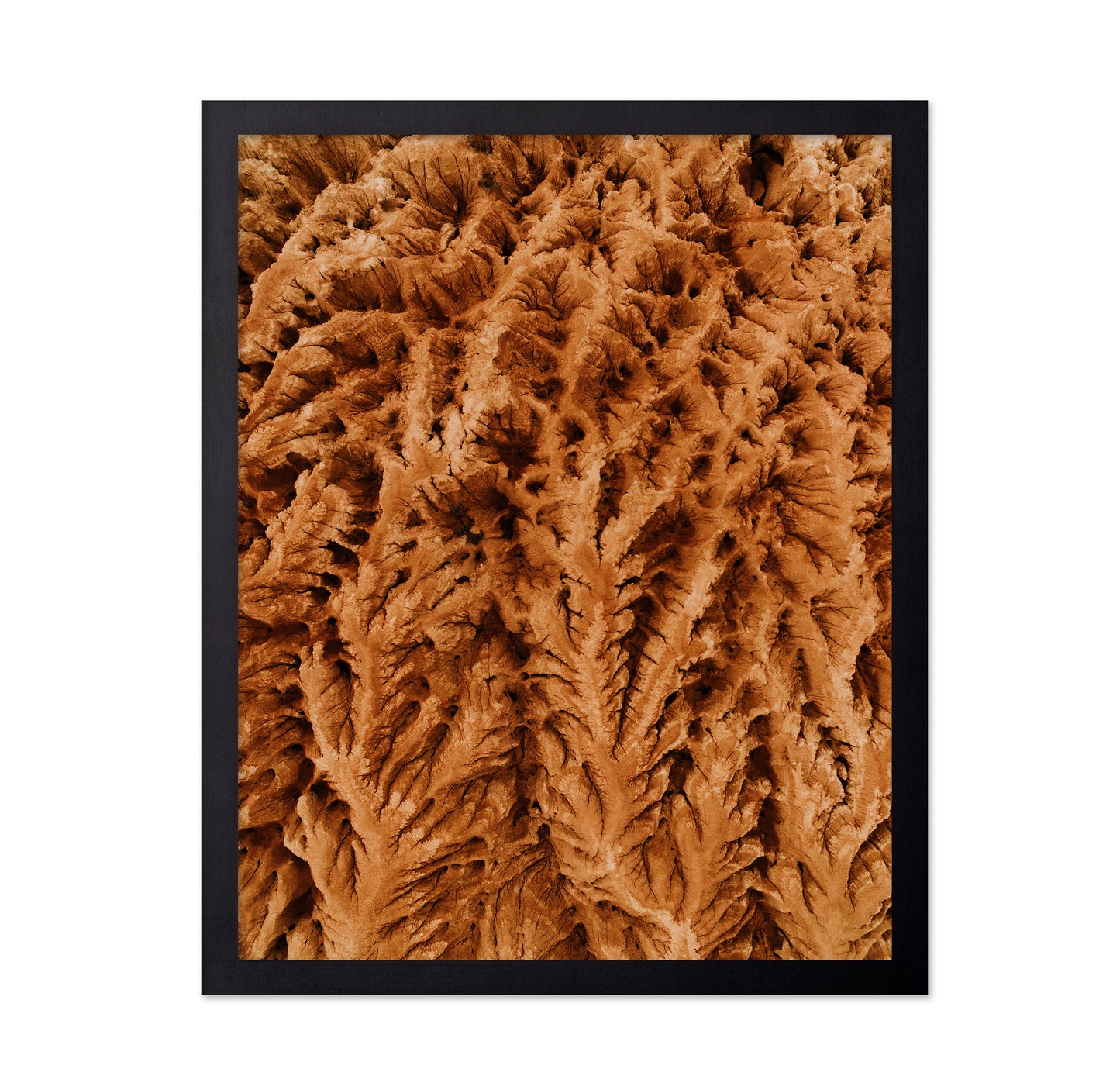 Earthly Textures